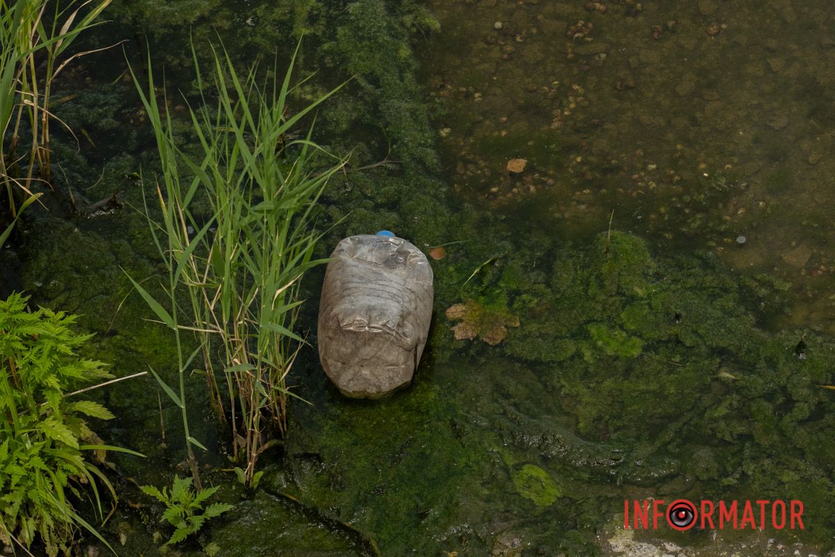 Наскільки чиста вода в річці та чому відбувається цвітіння Дніпра 9
