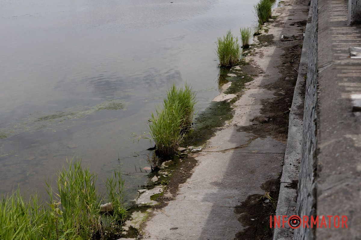 Наскільки чиста вода в річці та чому відбувається цвітіння Дніпра 4
