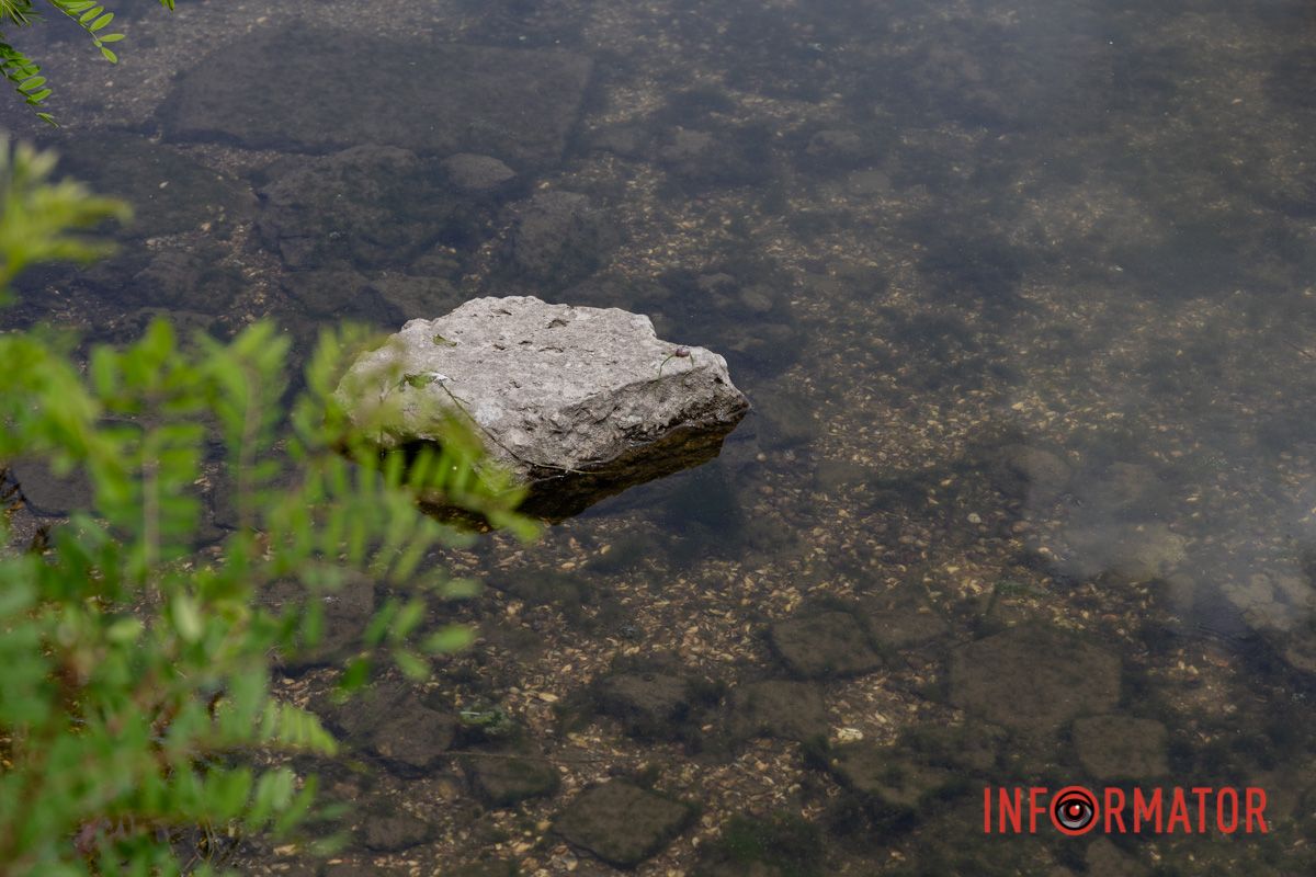 Наскільки чиста вода в річці та чому відбувається цвітіння Дніпра 11