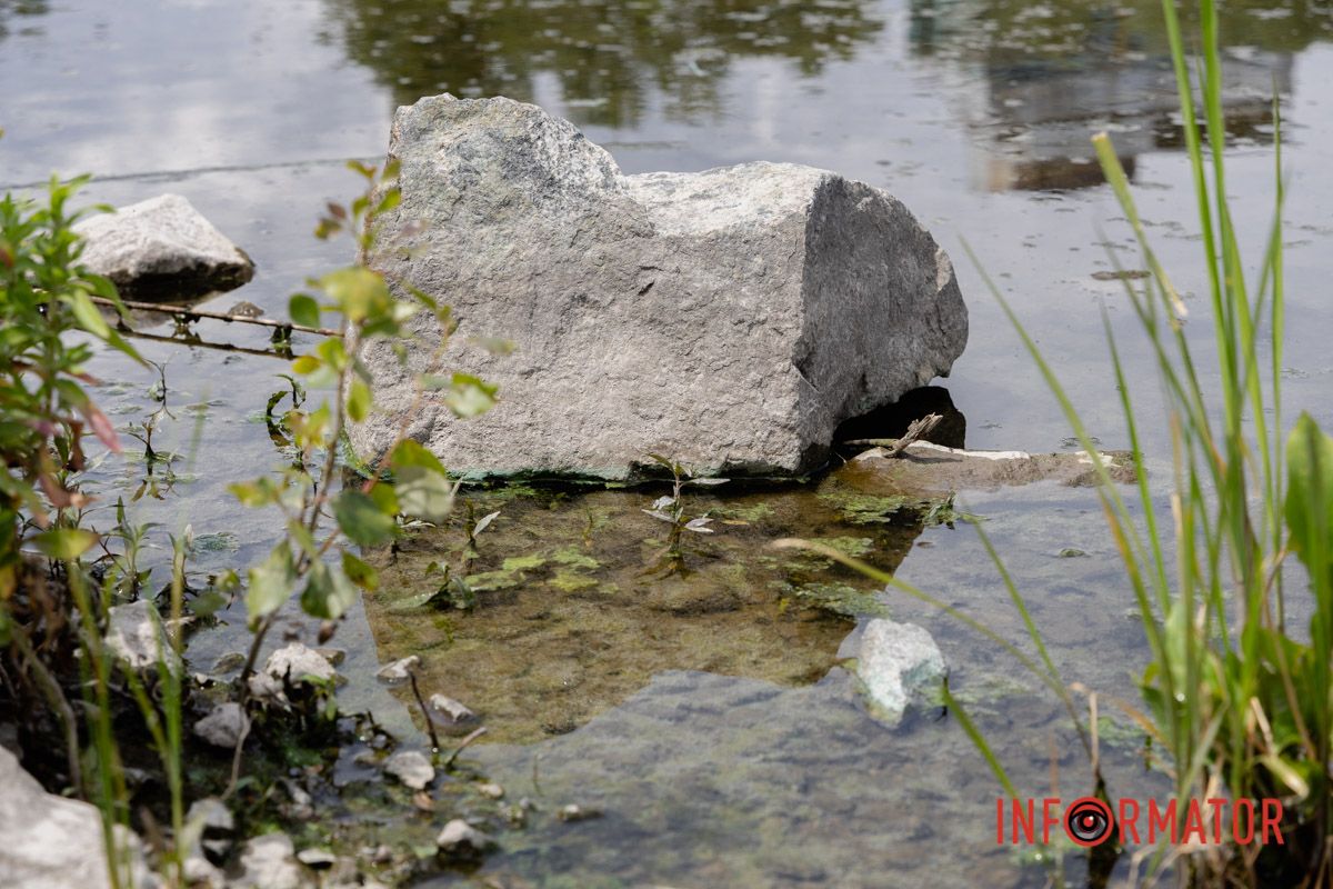 Наскільки чиста вода в річці та чому відбувається цвітіння Дніпра 28