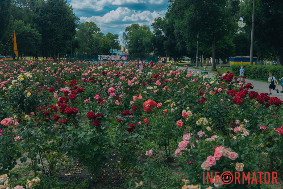 Літній день у парку Глоби Літній день у парку Глоби