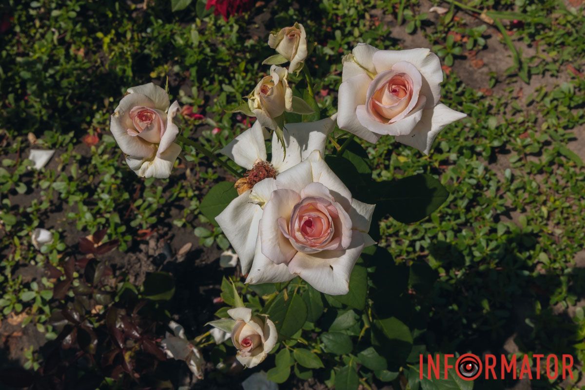 Фото: Маргарита Горбунова Фото: Маргарита Горбунова