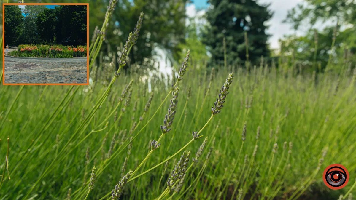 У Дніпрі 22 червня буде похмуро: прогноз погоди