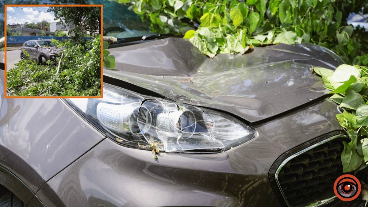 У Дніпрі біля «Філатівської парковки» величезна гілка впала на Audi та Kia: на щастя людей не зачепило