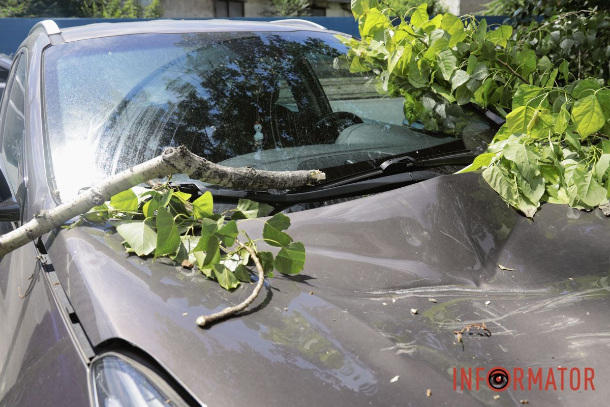 В Днепре возле «Филатовской парковки» огромная ветка упала на Audi и Kia: к счастью людей не задело 16