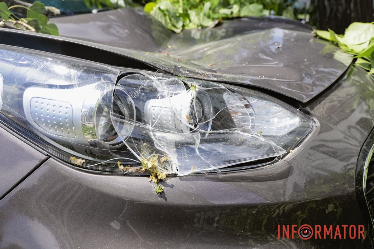 В Днепре возле «Филатовской парковки» огромная ветка упала на Audi и Kia: к счастью людей не задело 18