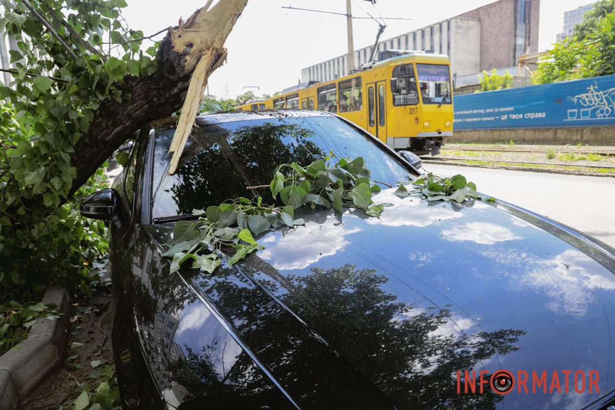 В Днепре возле «Филатовской парковки» огромная ветвь упала на Audi и Kia: к счастью людей не задело 7