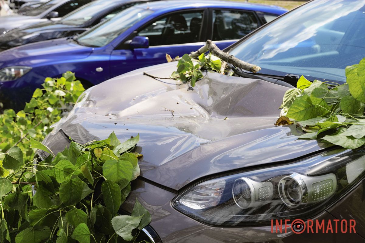 В Днепре возле «Филатовской парковки» огромная ветвь упала на Audi и Kia: к счастью людей не задело 2