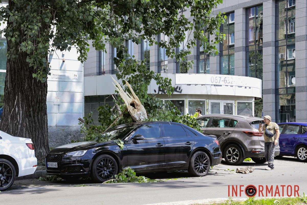 В Днепре возле «Филатовской парковки» огромная ветка упала на Audi и Kia: к счастью людей не задело 5