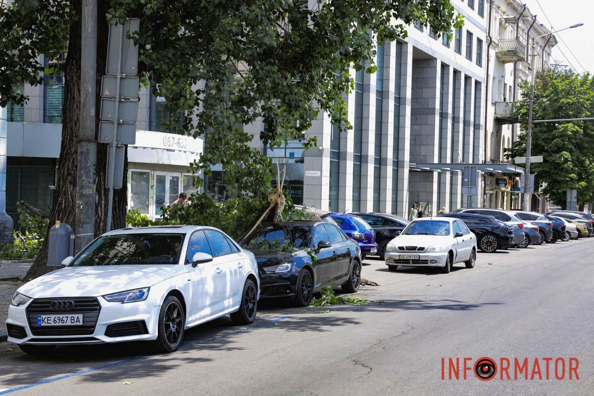 В Днепре возле «Филатовской парковки» огромная ветвь упала на Audi и Kia: к счастью людей не задело 8