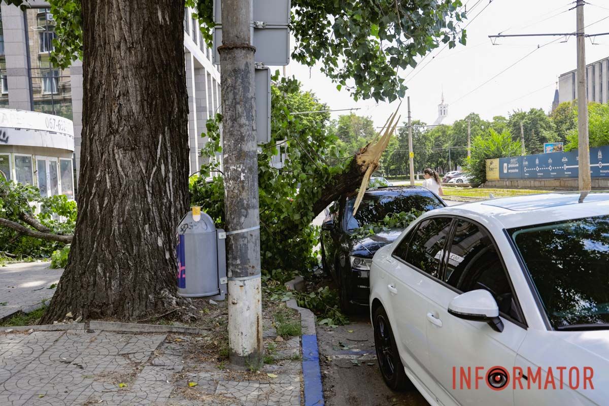В Днепре возле «Филатовской парковки» огромная ветка упала на Audi и Kia: к счастью людей не задело 11