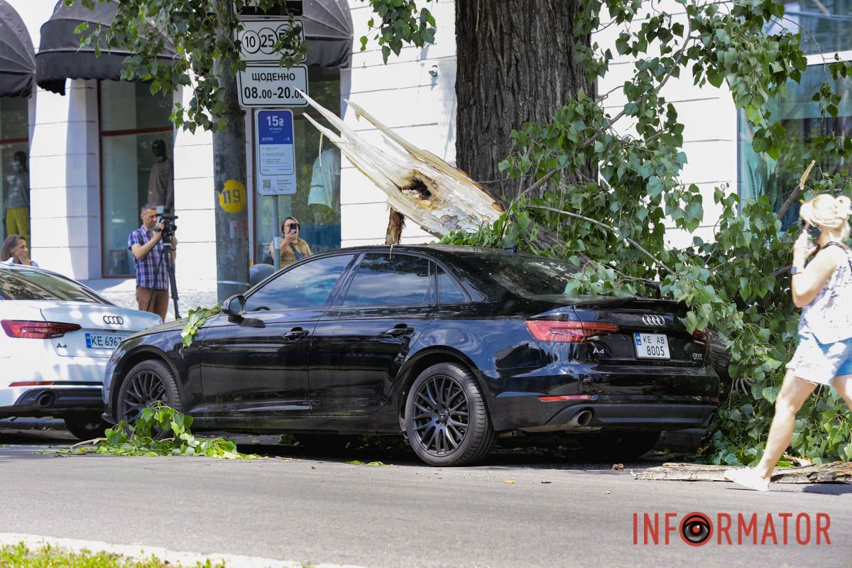 В Днепре возле «Филатовской парковки» огромная ветка упала на Audi и Kia: к счастью людей не задело 14