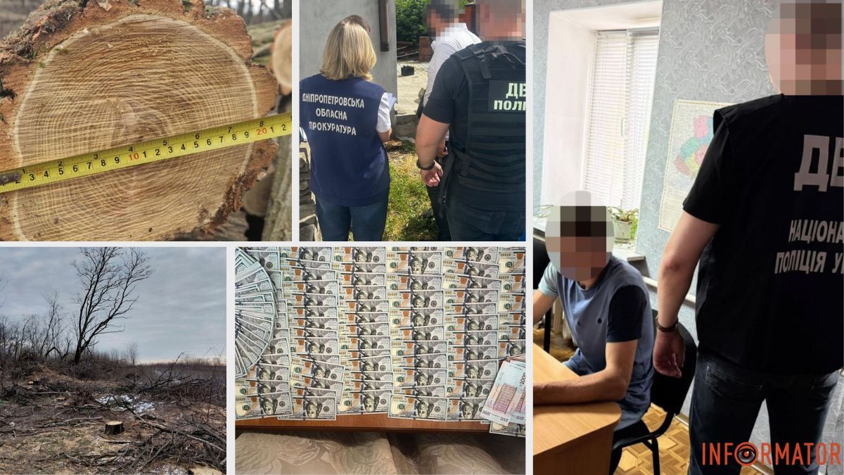 У Дніпропетровській області “чорні лісоруби” завдали збитків на 14 мільйонів: серед фігурантів двоє правоохоронців