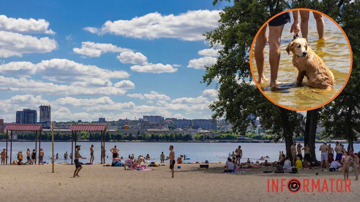 Температура підвищиться до 35-38°C: коли Дніпропетровську область накриє спека