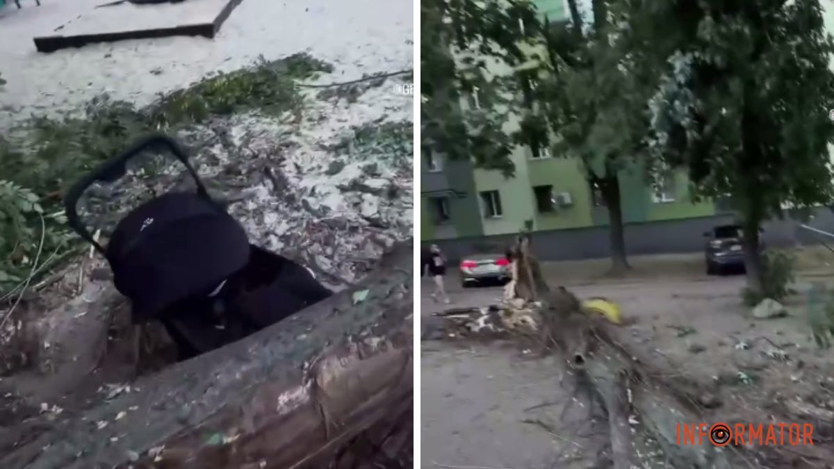 “Це якась жесть”: на Слобожанському проспекті в Дніпрі дерево впало на дитячий візок