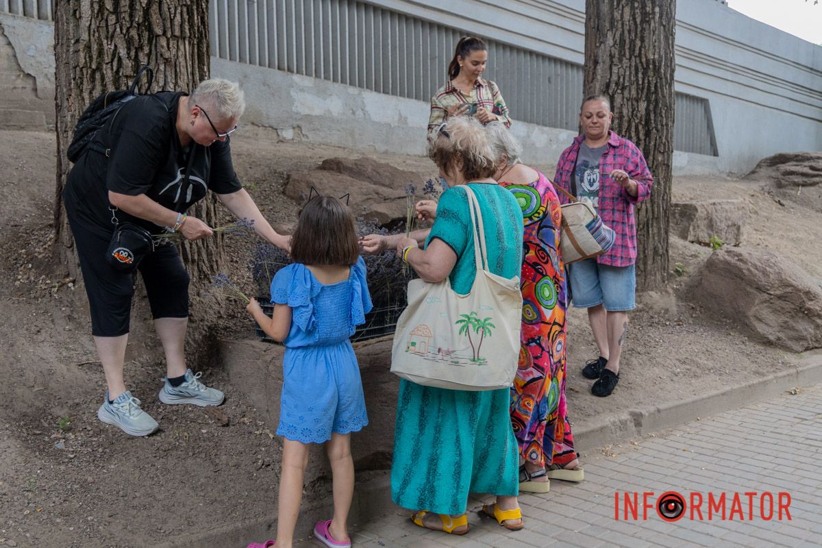 Букетик своїми руками: у парку Шевченка в Дніпрі пройшов «Лавандовий бум» 6