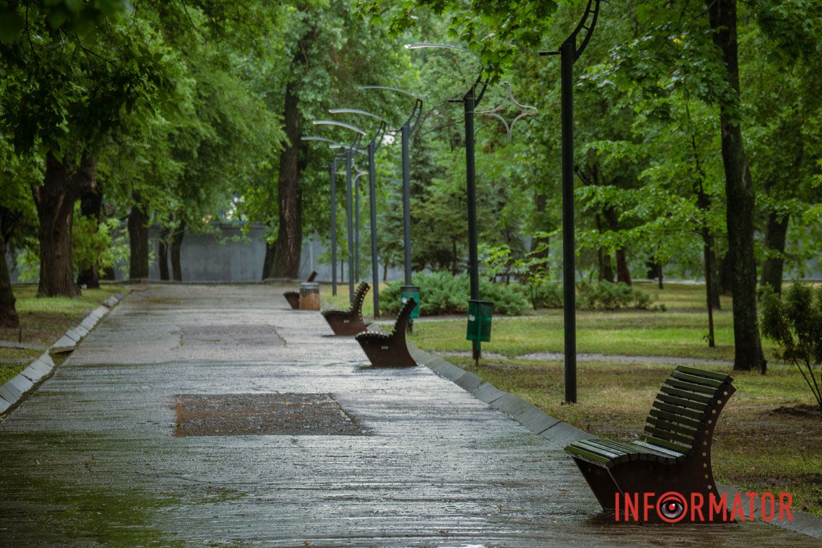 Самотні алейки після дощу
