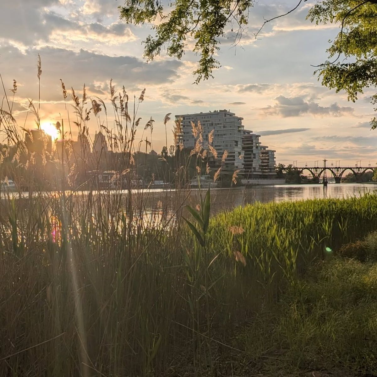 Якби у Дніпра був Instagram: топ красивих світлин міста 6