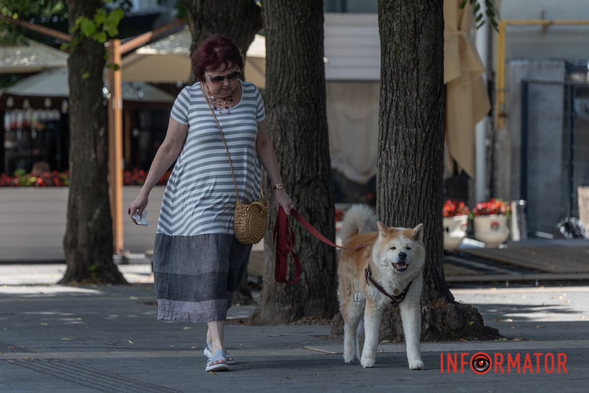 Клаптик дикої природи серед кам’яних джунглів: атмосфера літнього дня в парку Шевченка 1