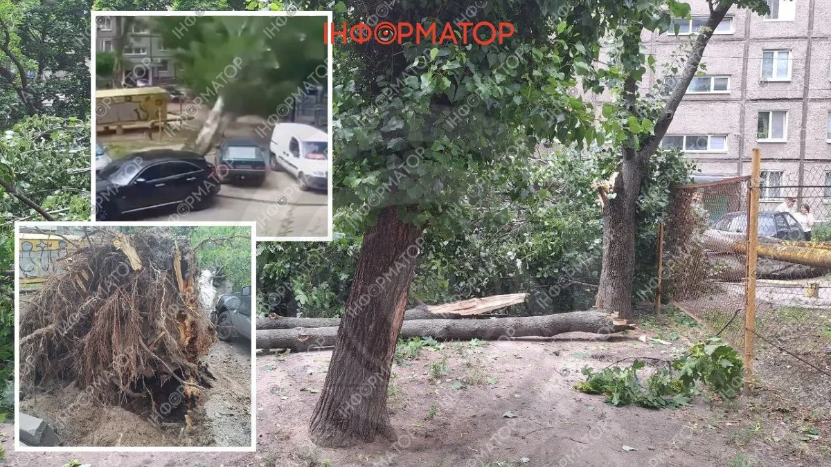 Відео моменту: у Дніпрі на Перемозі величезне дерево впало на дитячий майданчик та зачепило авто