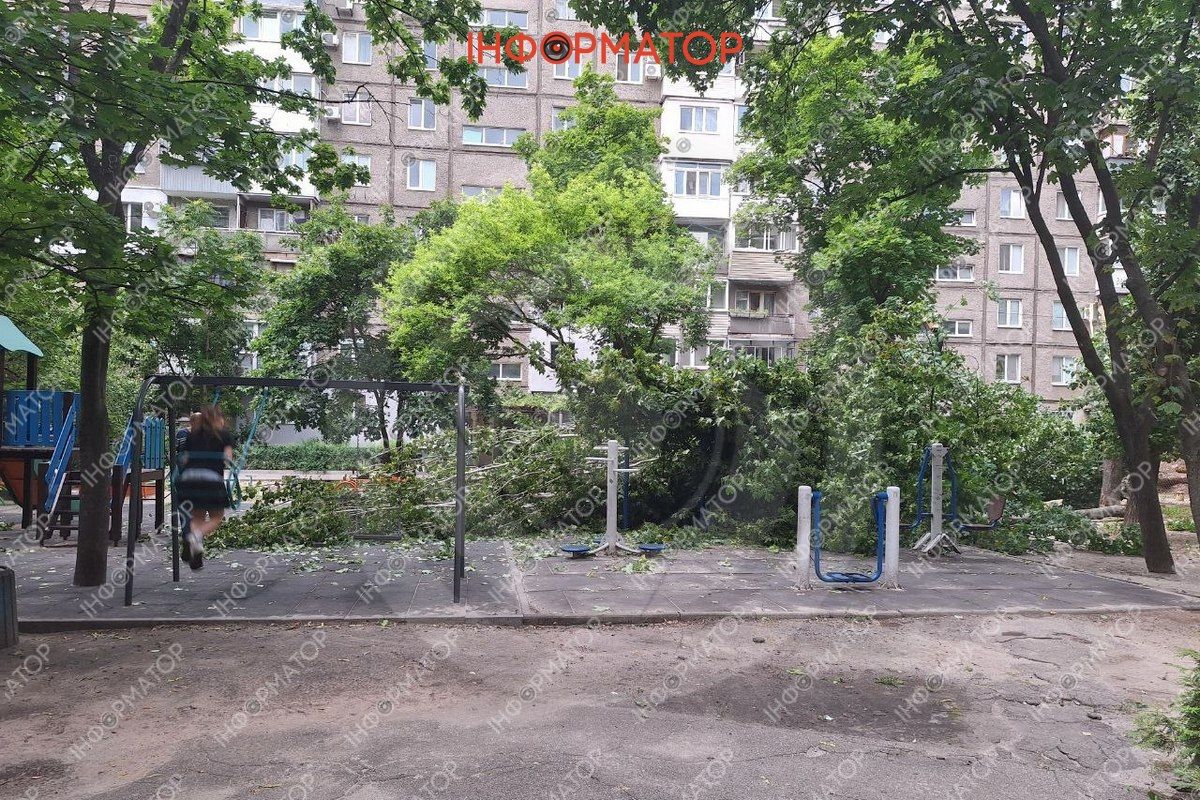 На Перемозі дерево впало на дитячий майданчик дерево 1