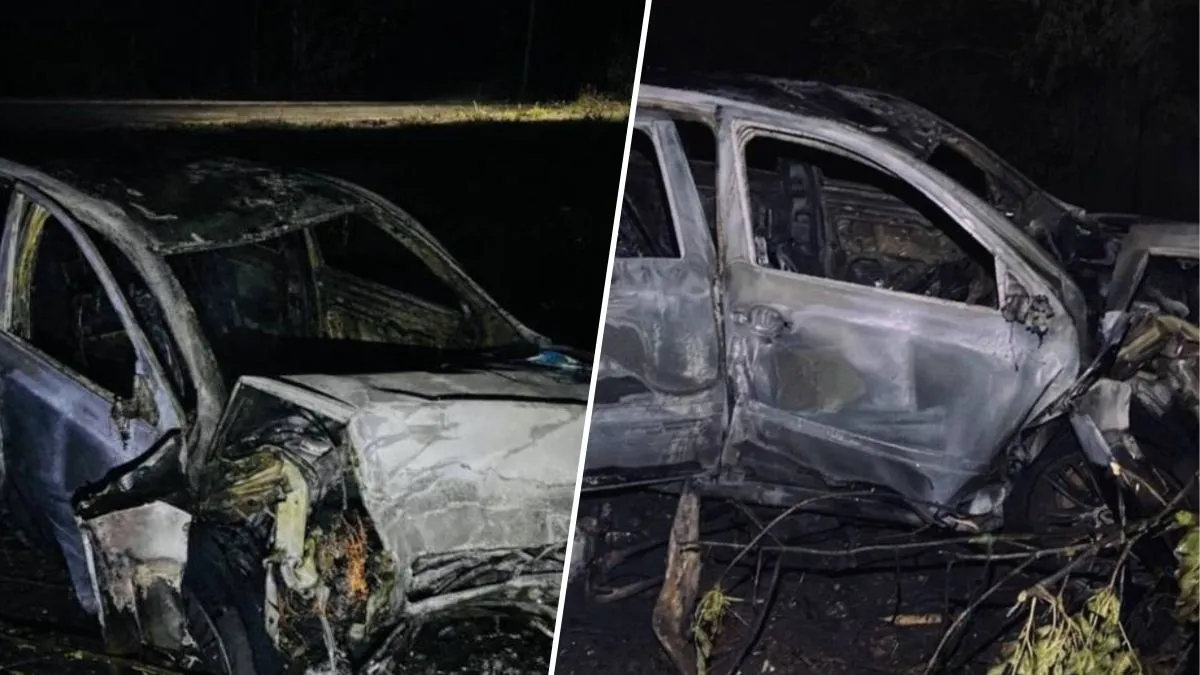 У Дніпропетровській області автомобіль ТЦК з “мобілізованим” чоловіком в салоні влетів в дерево та загорівся: є загиблий – ЗМІ