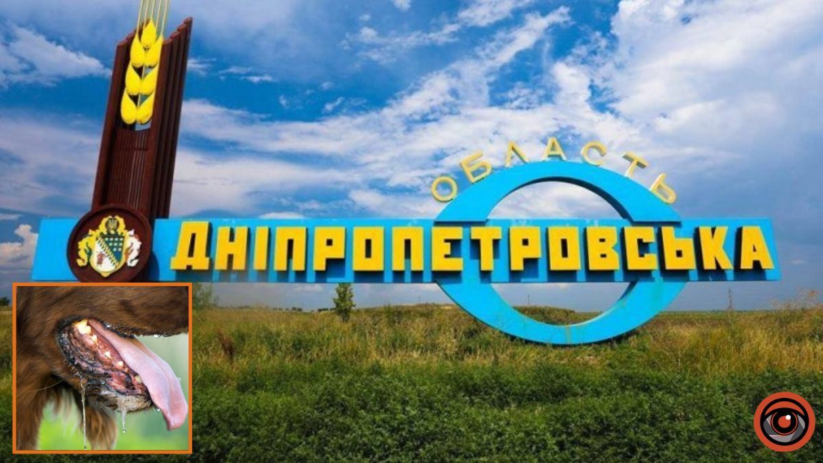 Пес покусав власника: де у Кам’янському районі через сказ запровадили карантин