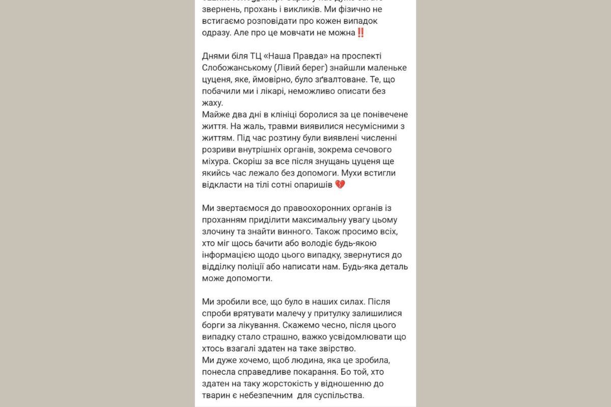 За даними очевидців, тваринку могли зґвалтувати За даними очевидців, тваринку могли зґвалтувати