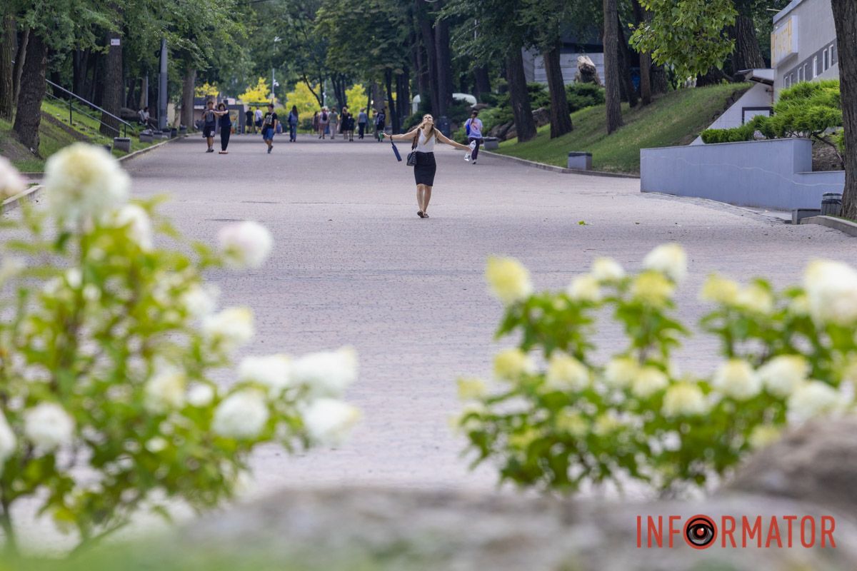 Летний день