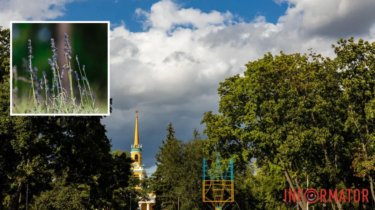 Погода на 27 липня: у Дніпрі очікується ясний та теплий день