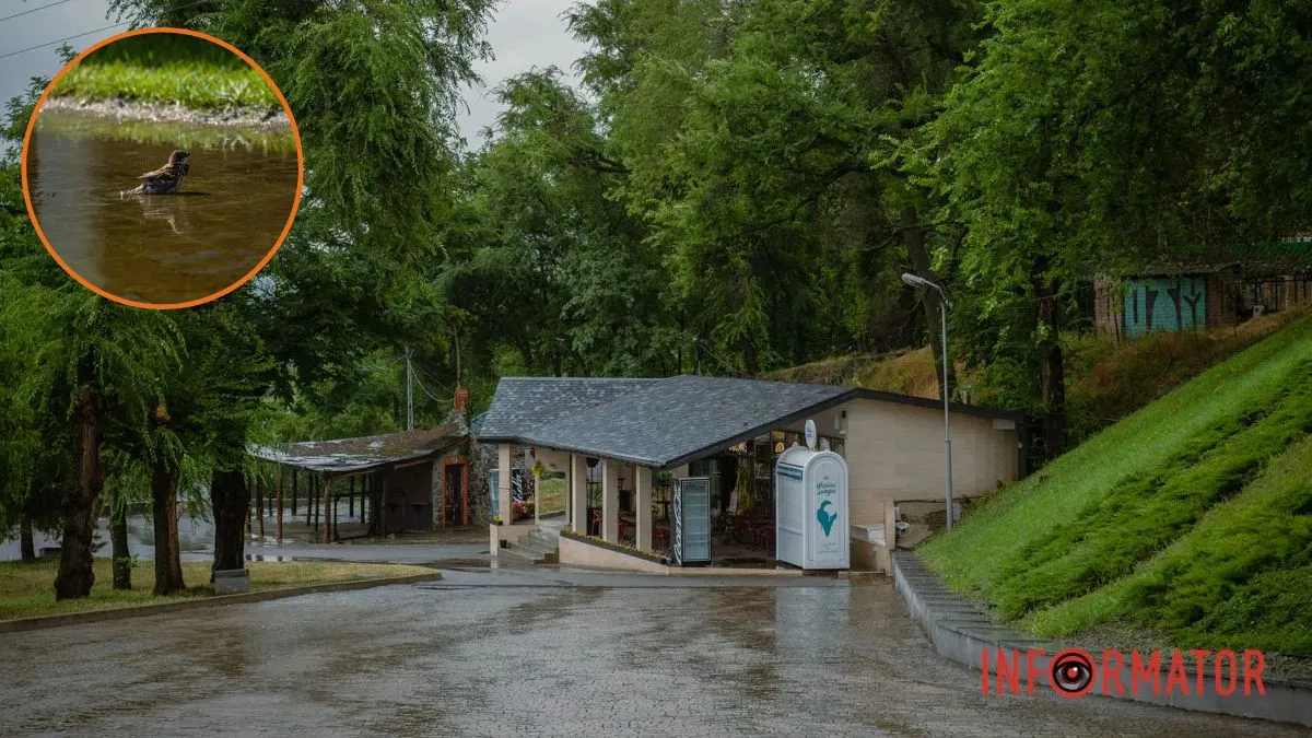 У Дніпрі та області 28 липня прогнозують сильний дощ з грозою та градом