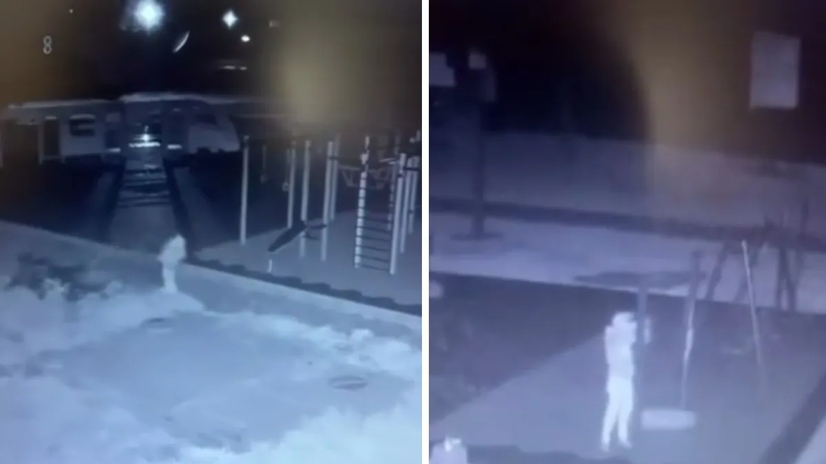 Відео моменту: у Кривому Розі вандал вкрав інклюзивну гойдалку з недобудованого дитячого майданчика