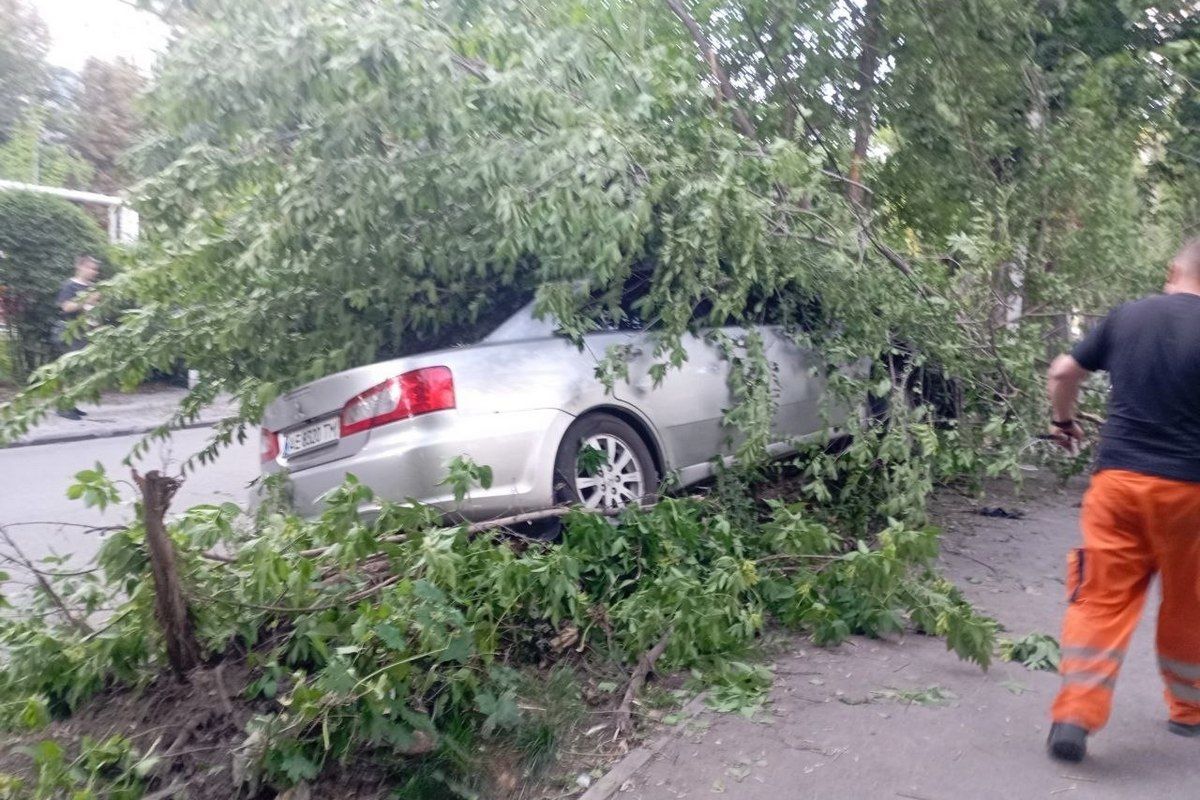В Днепре пьяный водитель Mitsubishi влетел в дерево дтп дерево 1