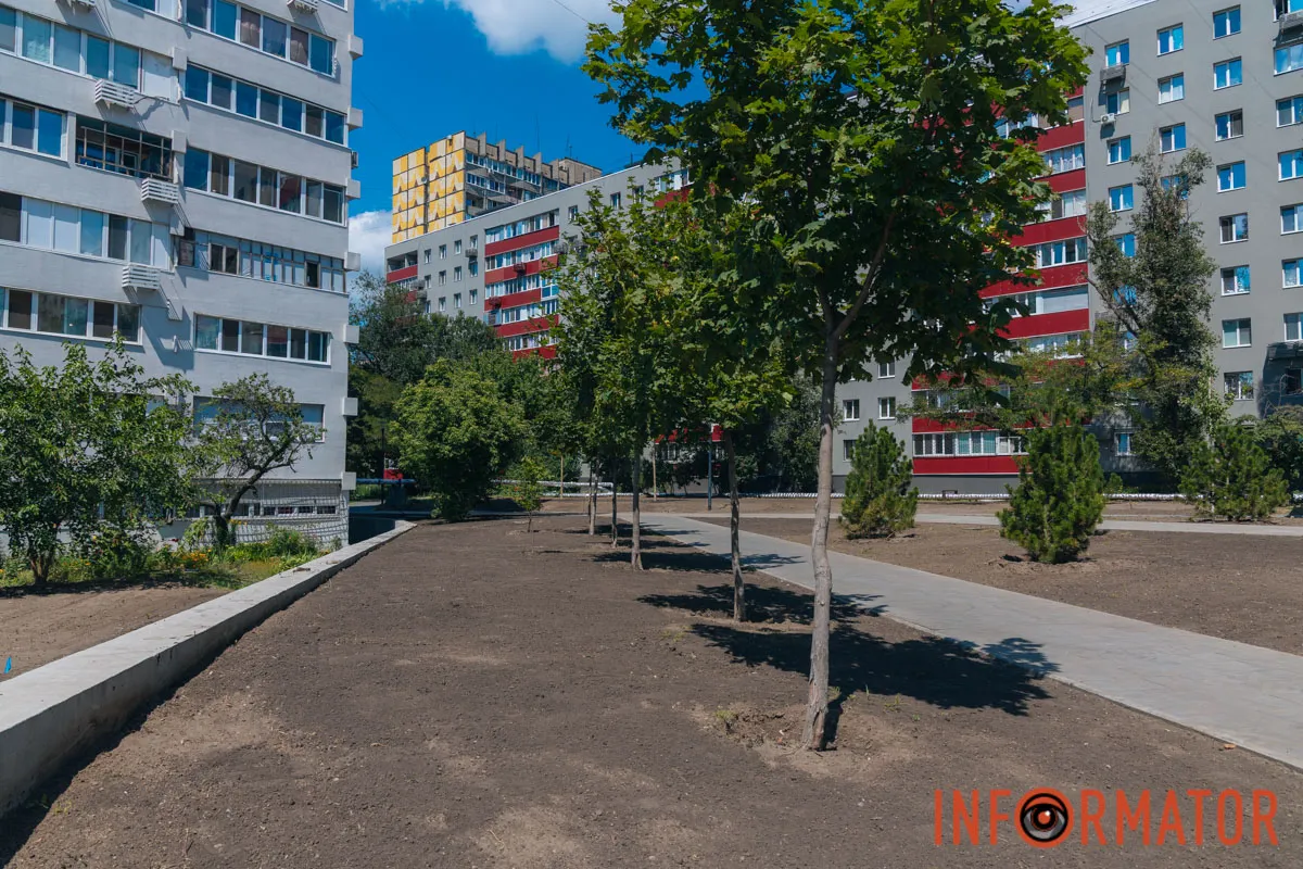 Кожне нове дерево – це ще один крок до комфортнішого та затишнішого простору