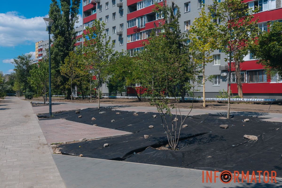Не ламайте гілки дерев
