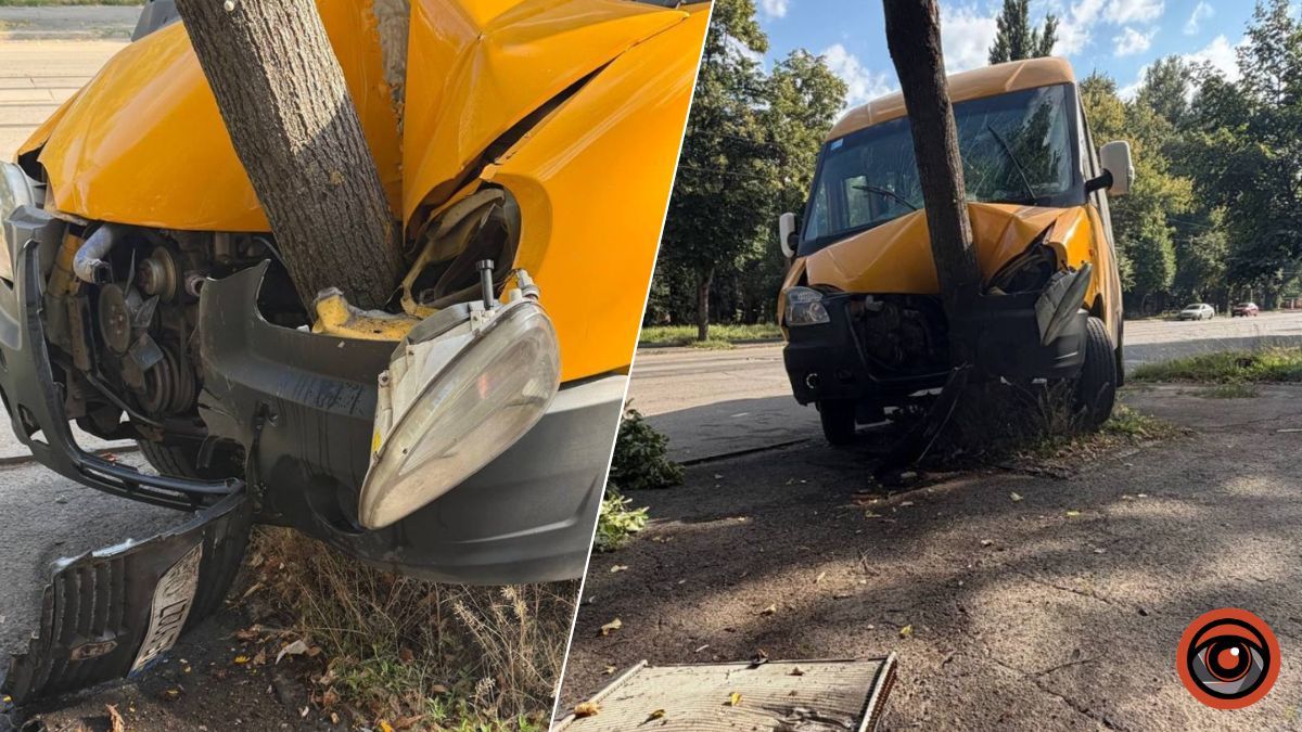 У Кривому Розі маршрутка врізалася у дерево, постраждали водій та двоє пасажирів: деталі від поліції