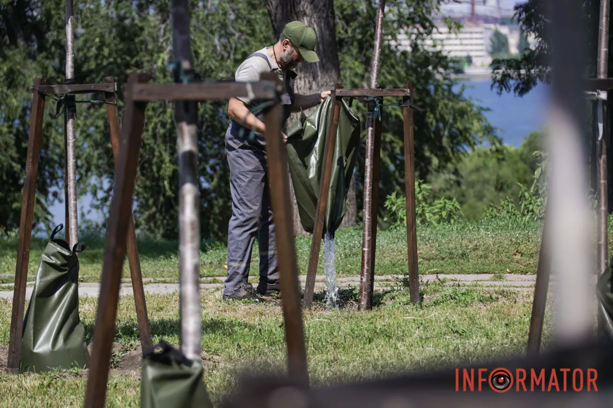 У Дніпрі дбають про природу У парку Шевченка в Дніпрі на алеї сакур з’явились мішки для поливу 1