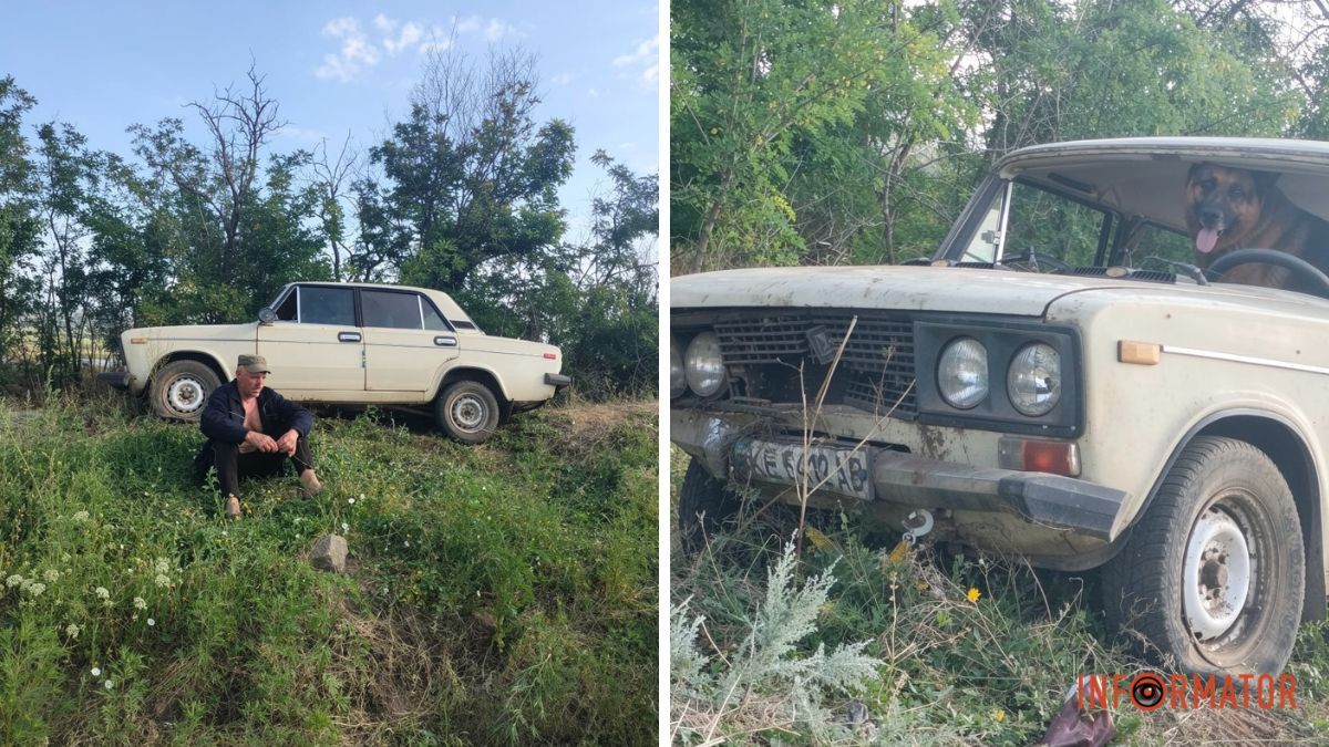 У Дніпропетровській області після ДТП нетверезий водій "посадив вівчарку за кермо": що кажуть в патрульній поліції