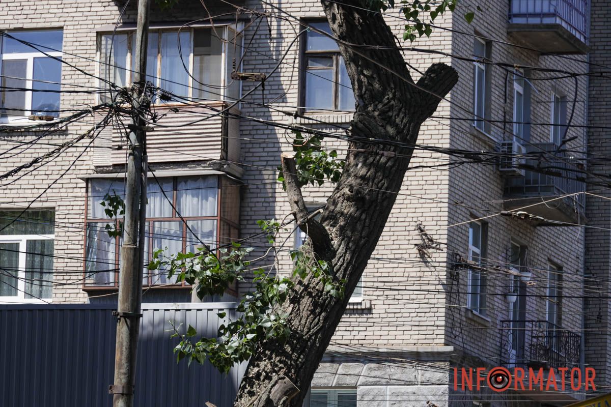 У Дніпрі на Архітектора Олега Петрова частково перекрили дорогу: трамваї курсують іншим маршрутом 1