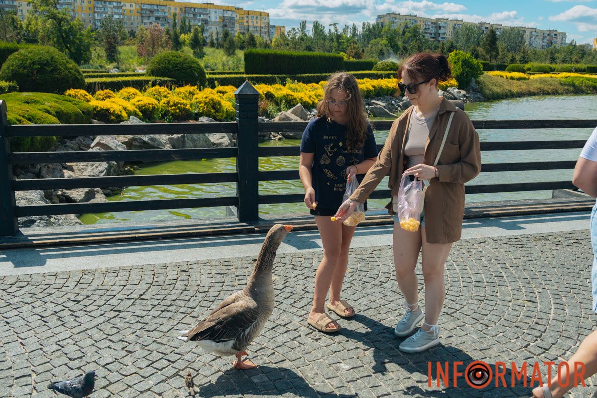 Летние краски, птицы и счастливые улыбки: как днепряне проводят пятничные дни в яхт-клубе “Сич” 52