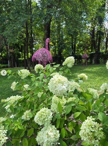 _ludmila_siromashenko_