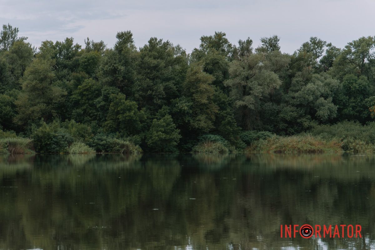 Краплі на склі, парасольки та свіжість після спеки: як виглядав дощовий Дніпро зранку 19 серпня 26