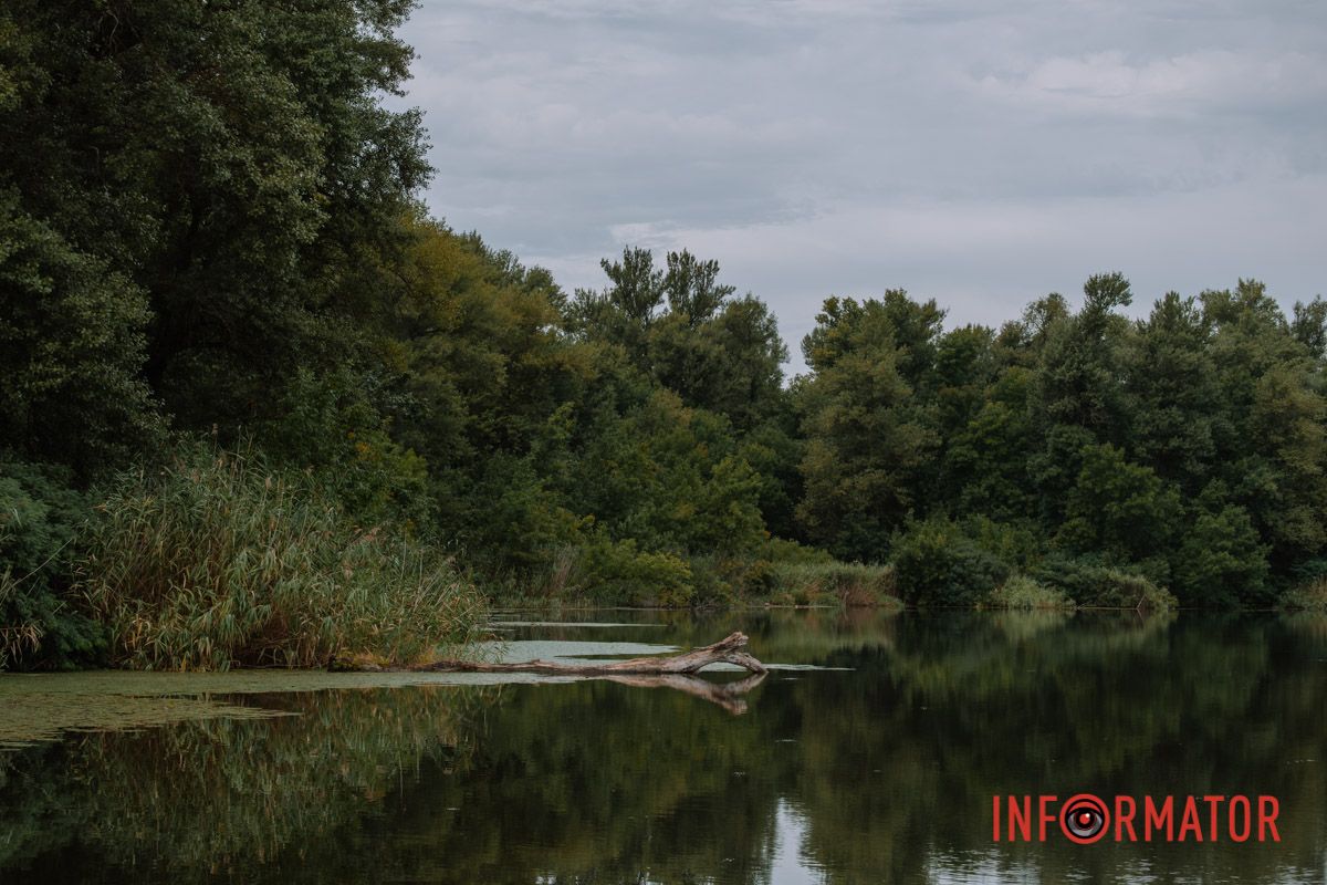 Краплі на склі, парасольки та свіжість після спеки: як виглядав дощовий Дніпро зранку 19 серпня 16