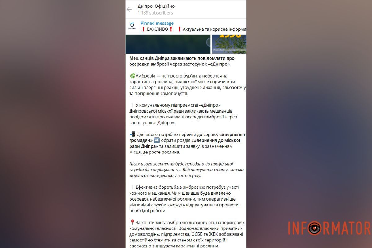 Як міська рада Дніпра бореться з амброзією
