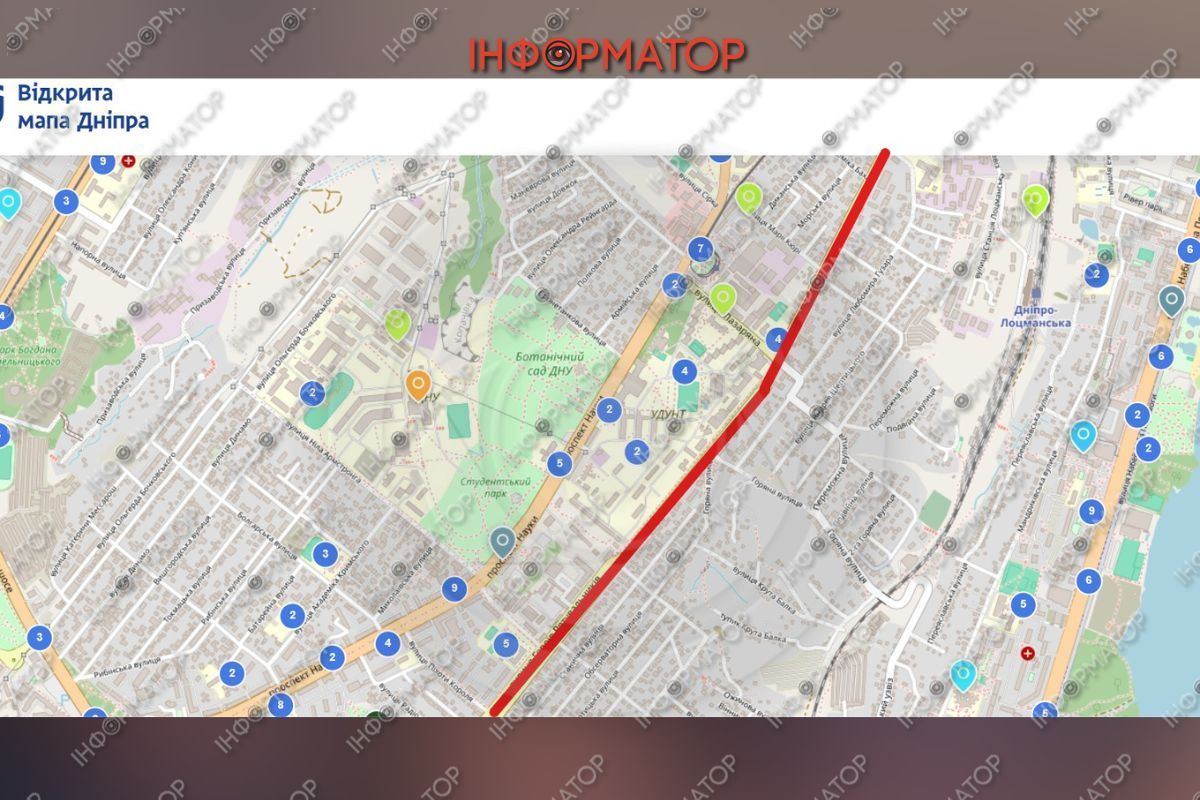 Святкування День Незалежності під цвітіння алергену: вулиці Дніпра перетворились на поля з амброзією 2