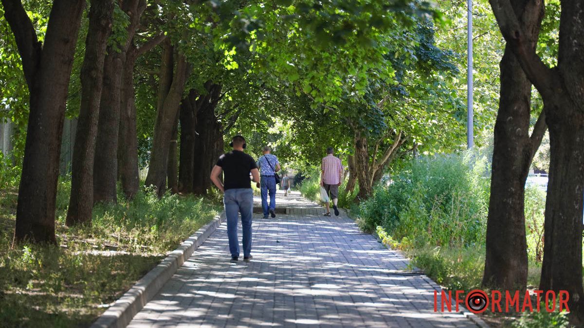 Святкування Дня Незалежності під цвітіння алергену: вулиці Дніпра заросли полями амброзії