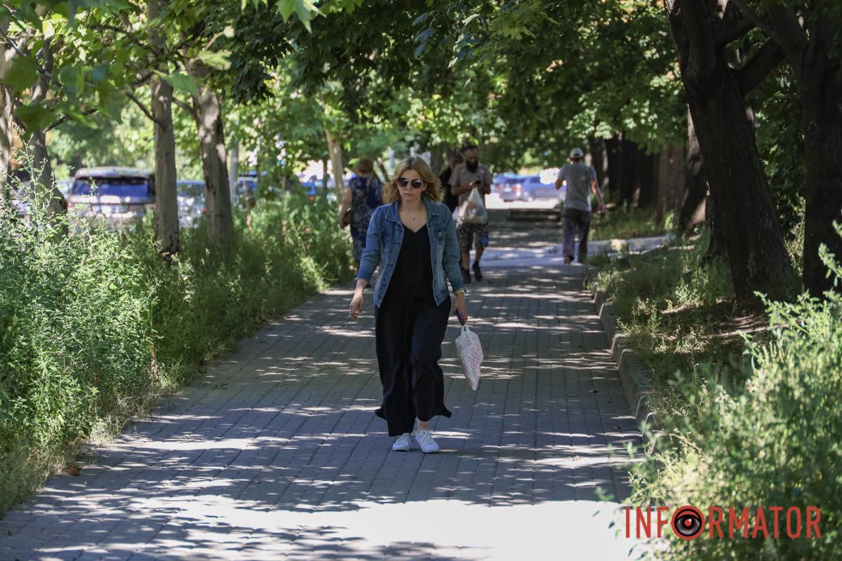 Святкування День Незалежності під цвітіння алергену: вулиці Дніпра заросли полями амброзії 11