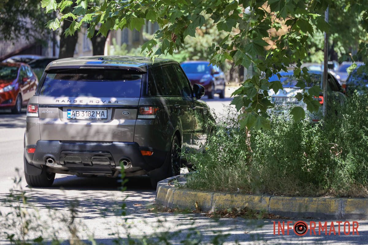 Святкування День Незалежності під цвітіння алергену: вулиці Дніпра заросли полями амброзії 12