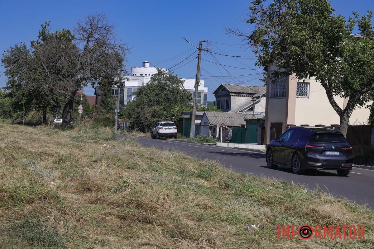 Святкування День Незалежності під цвітіння алергену: вулиці Дніпра заросли полями амброзії 23