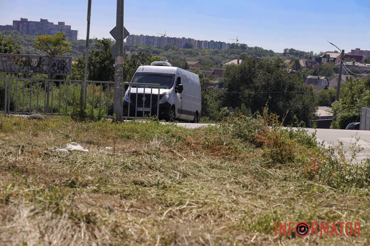 Святкування День Незалежності під цвітіння алергену: вулиці Дніпра заросли полями амброзії 16
